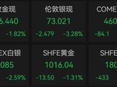 国际油价上涨金银下跌 能源价格预期飙升
