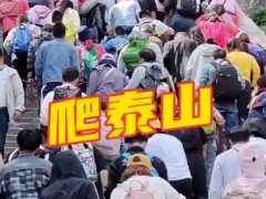 堵山、堵海、堵桥、堵路 出行的尽头是“一动不动”