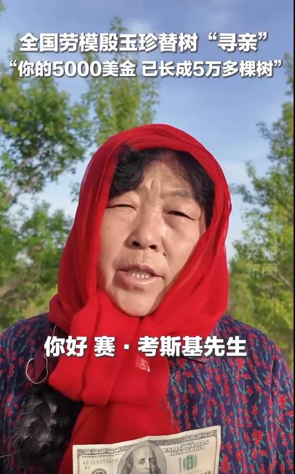 “你的5000美金已长成5万多棵树”